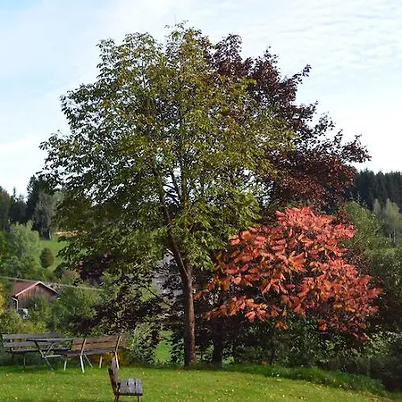 Der Baeume Drachselsried