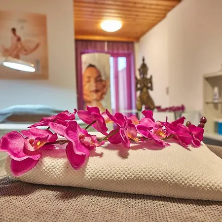 Der Baeume Hotell Drachselsried