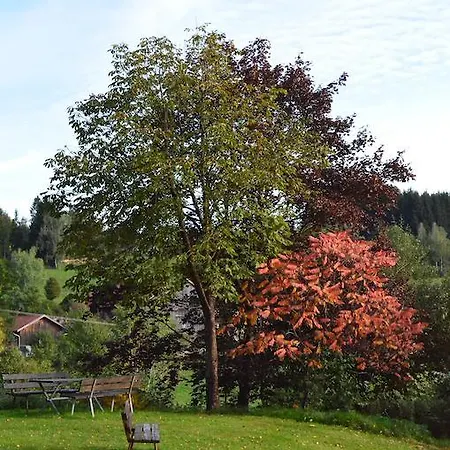 Der Baeume Drachselsried