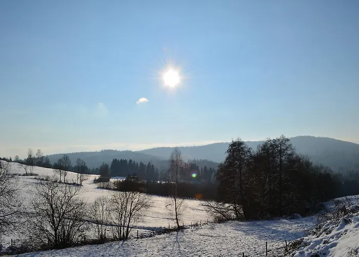 Hotel Der Bäume Drachselsried